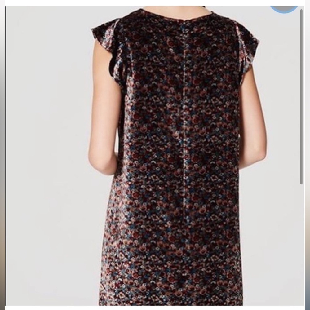 Nwt LOFT floral velvet sleeveless flutter sleeve mini dress - Picture 2 of 9